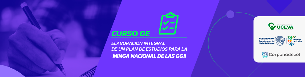 Elaboración Integral de un Plan de Estudios para la Minga Nacional de las GGII